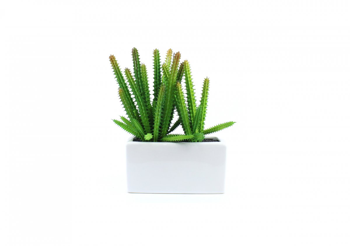 Artificial Plants 44195