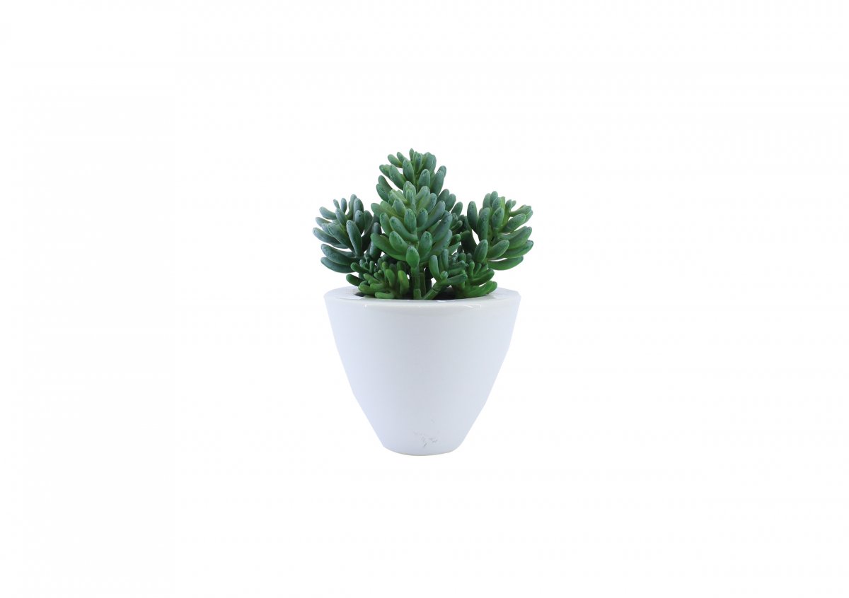 Artificial Plants 44840