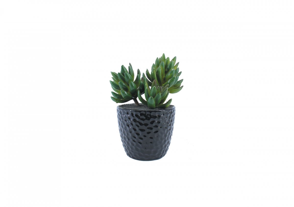 Artificial Plants 44873