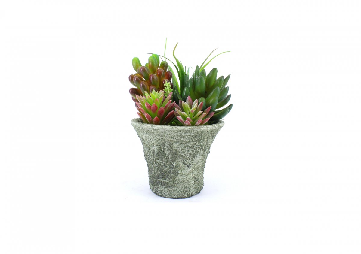 Artificial Plants APL-C-44906.MX