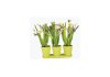 Artificial Flower 1058255