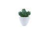 Artificial Plants 44840