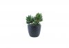 Artificial Plants 44873