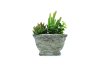 Artificial Plants 44914