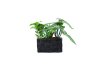 Artificial Plants 45097