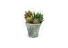 Artificial Plants APL-C-44906.MX