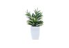 ( SOLD OUT ) Artificial Plants 44412