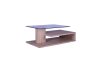 ( SOLD OUT ) Coffee Table HC2950