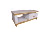 ( SOLD OUT ) Coffee Table M2862